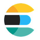 Elastic Search